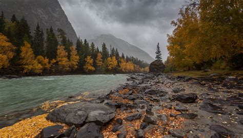 1920x1096 Tree Autumn River Clouds Coolwallpapersme