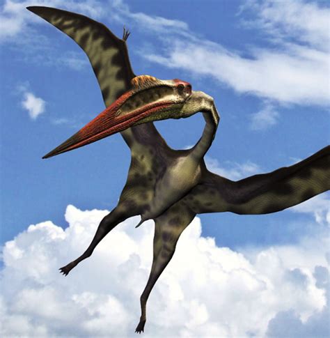 Image 6 2 Quetzalcoatlus Png Anomaly Research Centre Fandom Powered By Wikia