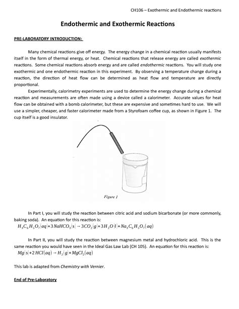 Endothermic And Exothermic Reactions With Lab Notebook Report