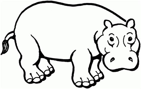 Free Printable Hippo Coloring Pages Free Printable