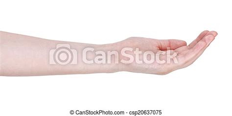 Cupped Palm Hand Gesture Isolated On White Background