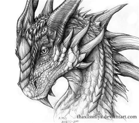 The Wise Dragon By Naseilen On Deviantart Realistic Dragon Dragon