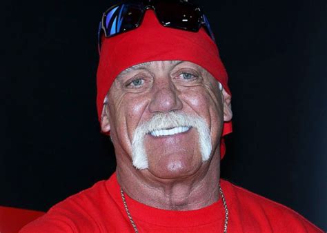 Hulk Hogan Recibirá 31 Mdd Por Difusión De Video íntimo Tn8 Tv