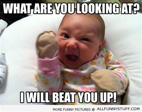 Free Download Funny Baby Jokes 20 Hd Wallpaper Wallpaper 540x428 For
