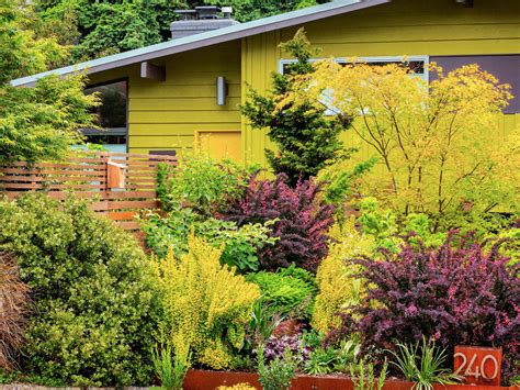 Garden Landscaping And Design Ideas Sunset Magazine