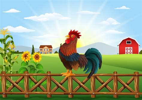 Cartoon Rooster Crowing At Farm Field In The Morning With Sun Rising