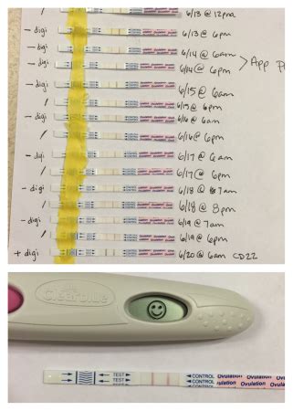 When an ovulation test result is positive, it means that lh levels are high, and ovulation should occur within the next 24 to 36 hours. Positive ovulation test on CD 22 out of 28 day cycle ...