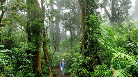 The Secret Of Costa Ricas Hidden Cloud Forests