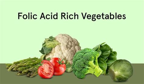 18 Folic Acid Rich Foods Fruits And Vegetables For Your Health