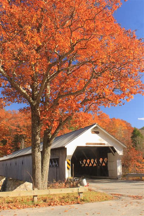 West River Covered Bridge Vermont Fall Foliage Photograph By John Burk