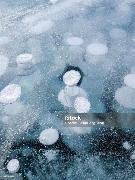 Close Up Of Methane Gas Bubbles Frozen In Ice Stock Photo Download