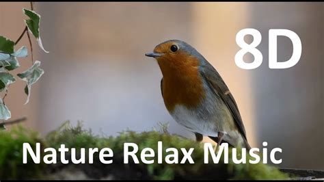 Nature Relaxing Music Sound Of Birds And Water Meditationcalm