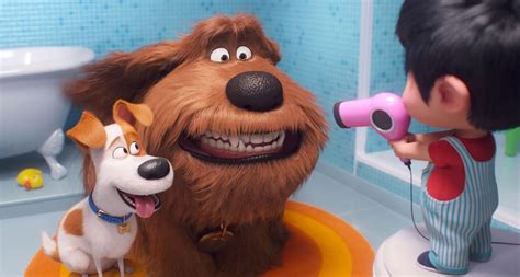 The Secret Life Of Pets 2 Review Max The Terrier Must Cope With The