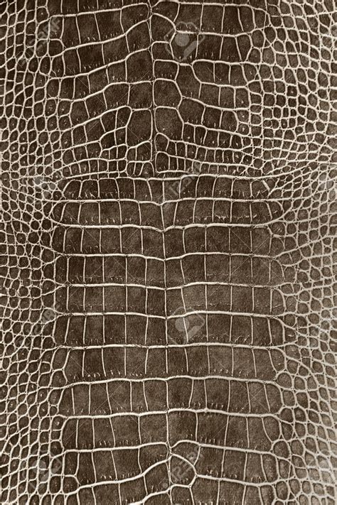 Dark Brown Crocodile Skin Texture As A Wallpaper Skin Textures