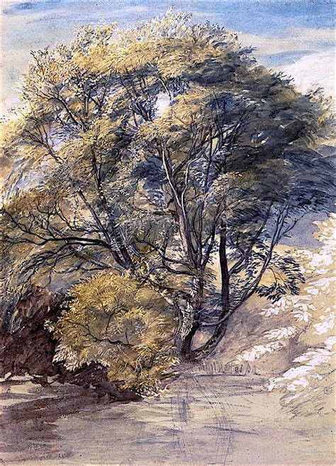 The Willow By Samuel Palmer Art Renewal Center