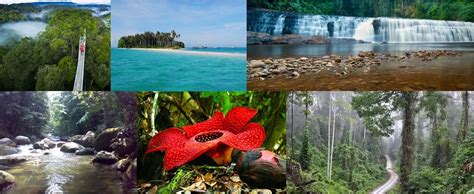 6 Must Visit Conservation Areas In Sabah For Nature Explorers Tallypress