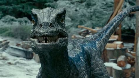 New Jurassic World Dominion Trailer Promises Biggest Carnivore This