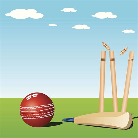 Best Cricket Pitch Illustrations Royalty Free Vector Graphics And Clip