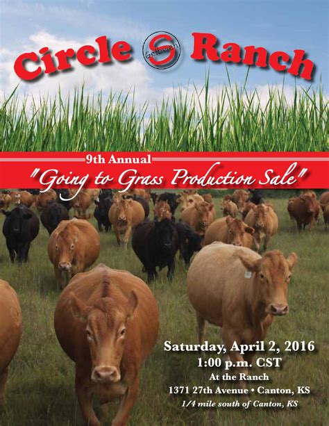 2016 Circle S Ranch Production Sale By Cassie Dorran Issuu