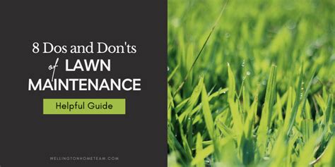 8 Dos And Donts Of Lawn Maintenance Helpful Guide