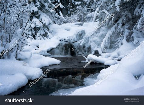 Snowy Stream Woods Bilder Stockfotos Und Vektorgrafiken Shutterstock