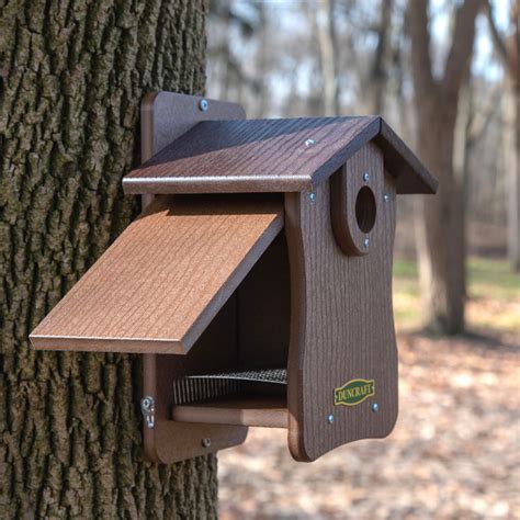 Duncraft Bird Safe® Ez Observation Bluebird House With