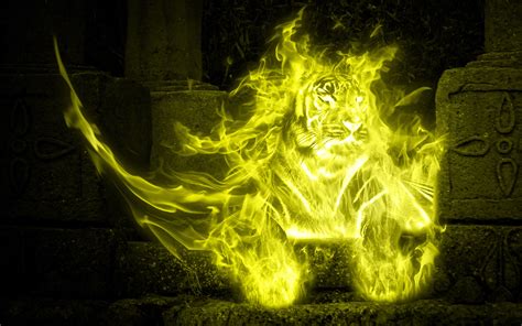Tiger On Fire Full Hd Wallpaper And Background Image 1920x1200 Id