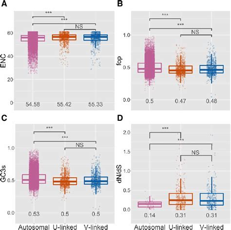 Molecular Evolution Of Autosomal And Sex Linked Genes In C Purpureus