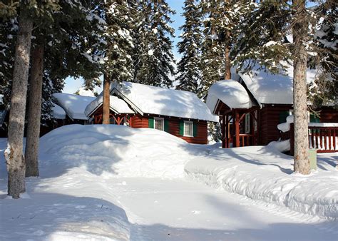 Check spelling or type a new query. Lake Louise Cabins Photograph by Gerry Bates