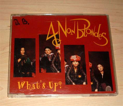CD Maxi Single 4 Non Blondes What S Up EBay