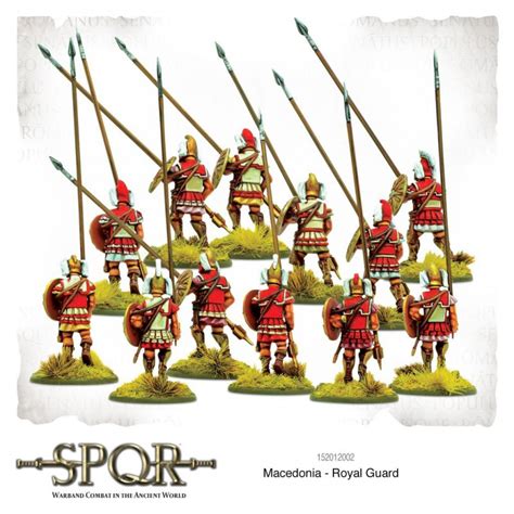 Spqr Greek Macedonian Royal Guard 28mm Ancient Warlord Games