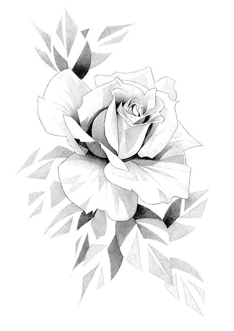 Rose Roses Flower Floral Botanical Tattoo Graphite Pencil Drawing Art