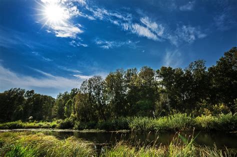 Summer Landscape With A River Western Siberia Stock Photo Image Of
