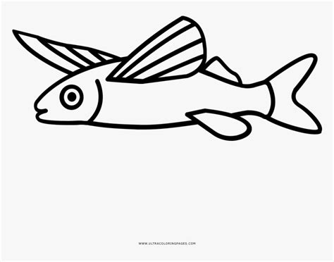 Flying Fish Coloring Page Line Art Hd Png Download