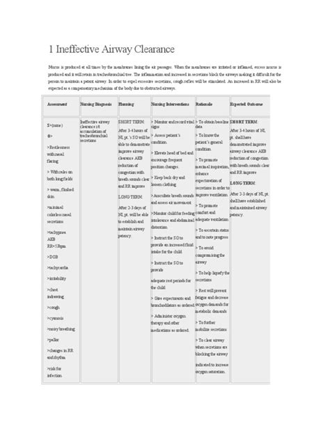 Bronchopneumonia Care Plan Respiratory Tract Fever