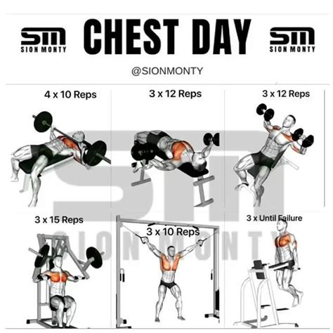 10 Best Chest Exercises For Building Muscle GymGuider Com Chest Day