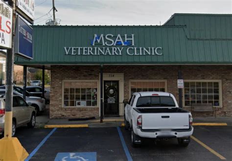 Lakeview Clinic Metairie Small Animal Hospital Msah