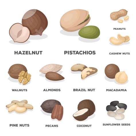Hazelnut Pistachios Peanuts And Other Types Of Nutsdifferent Types