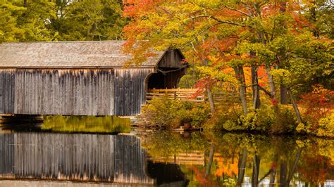 Covered Bridge In Fall Free Stock Photo Public Domain