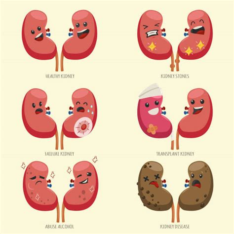 Renal Failure Stock Photos Pictures And Royalty Free Images Istock