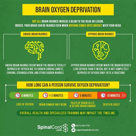 How long can the brain go without oxygen before serious damage occurs? How Long Can the Brain Go Without Oxygen? What Happens?
