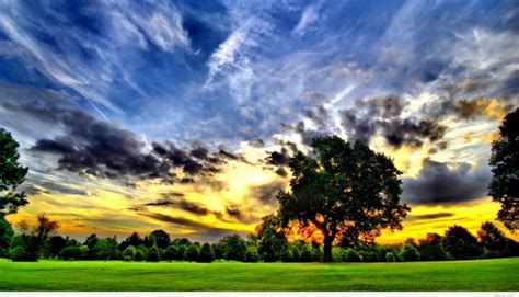 12469 Field Under Clear Sky Nature Wallpaper Views Full Hd Nature Sky