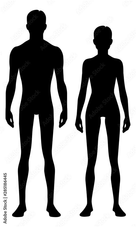 Male And Female Body Silhouette Isolated Perfect Image Symbols Man Fnd