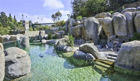 San Diego Zoo Africa Rocks Exhibit