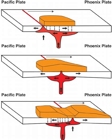 Sketch Of Possible Plume Ridge Interaction At The Pacific Phoenix