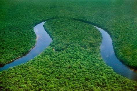 What Goes On The Massive Congo Rainforest Basin Has It Been Fully