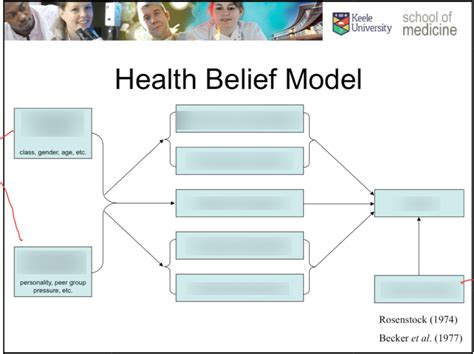 health belief model diagram quizlet