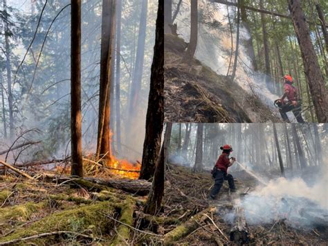 Bc Fires Forest Fires Blanket British Columbia With Smoke Bitly