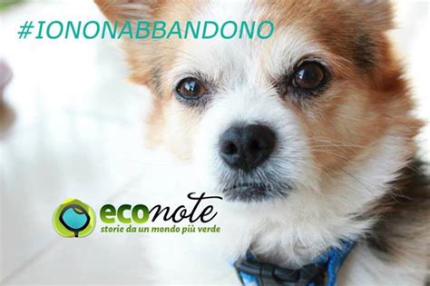 Queste non risultano caratterizzate da presenze di tossine, ma potrebbero comunque. Cosa non dare assolutamente ai cani da mangiare