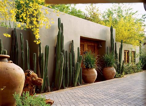 Southwest Style Cactus On Guard Backyard Mexican Garden Landscape